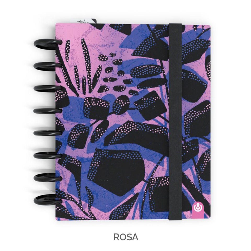 Organizador - 14 Meses