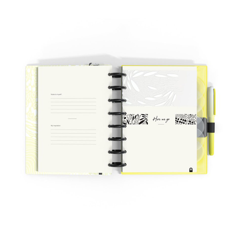 Organizador - 14 Meses