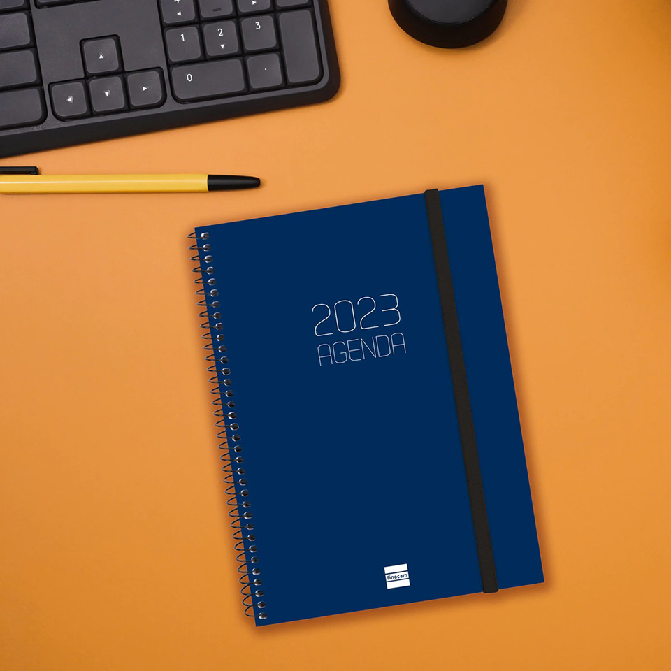 Agenda Azul 12 meses
