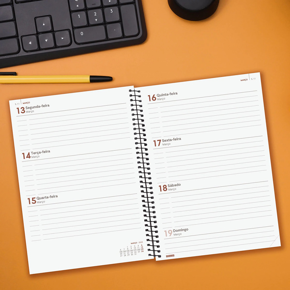 Agenda Azul 12 meses