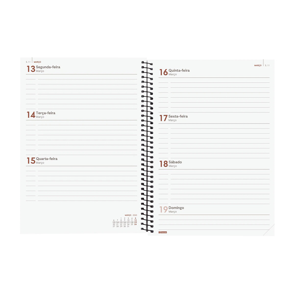 Agenda Azul 12 meses