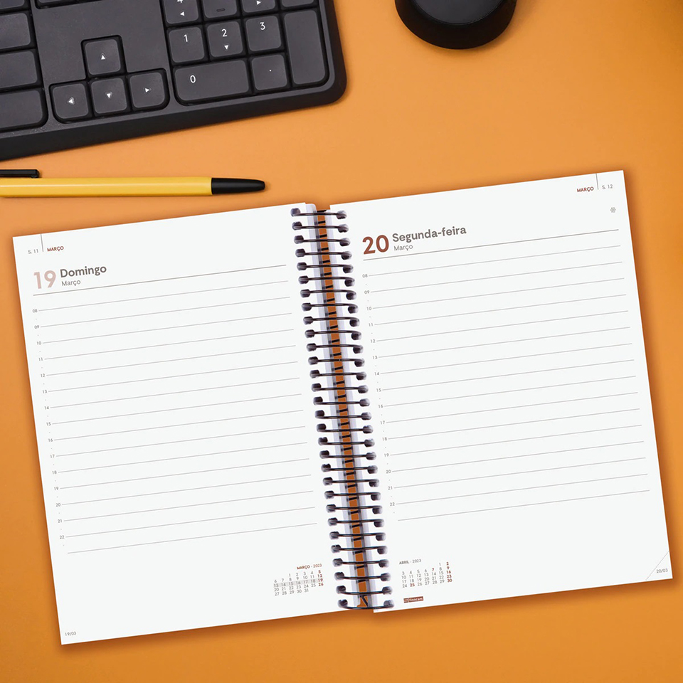 Agenda Azul 12 meses