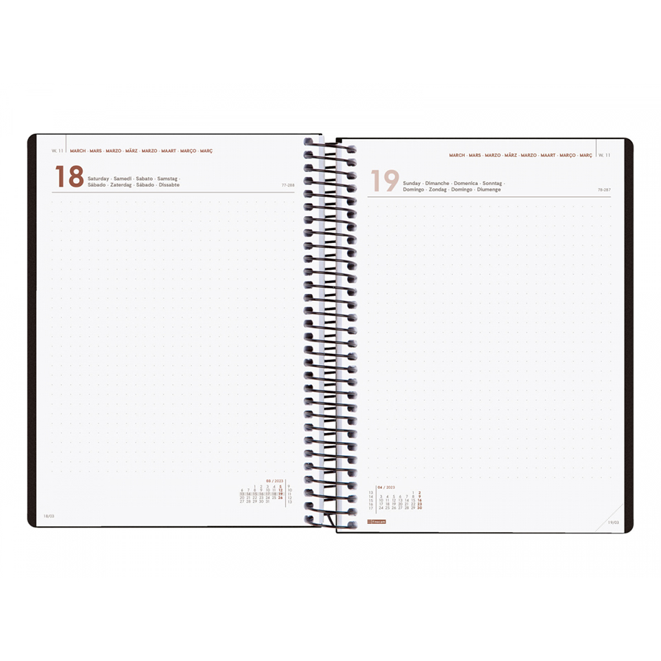 Agenda Dotted Link 12 meses Preta