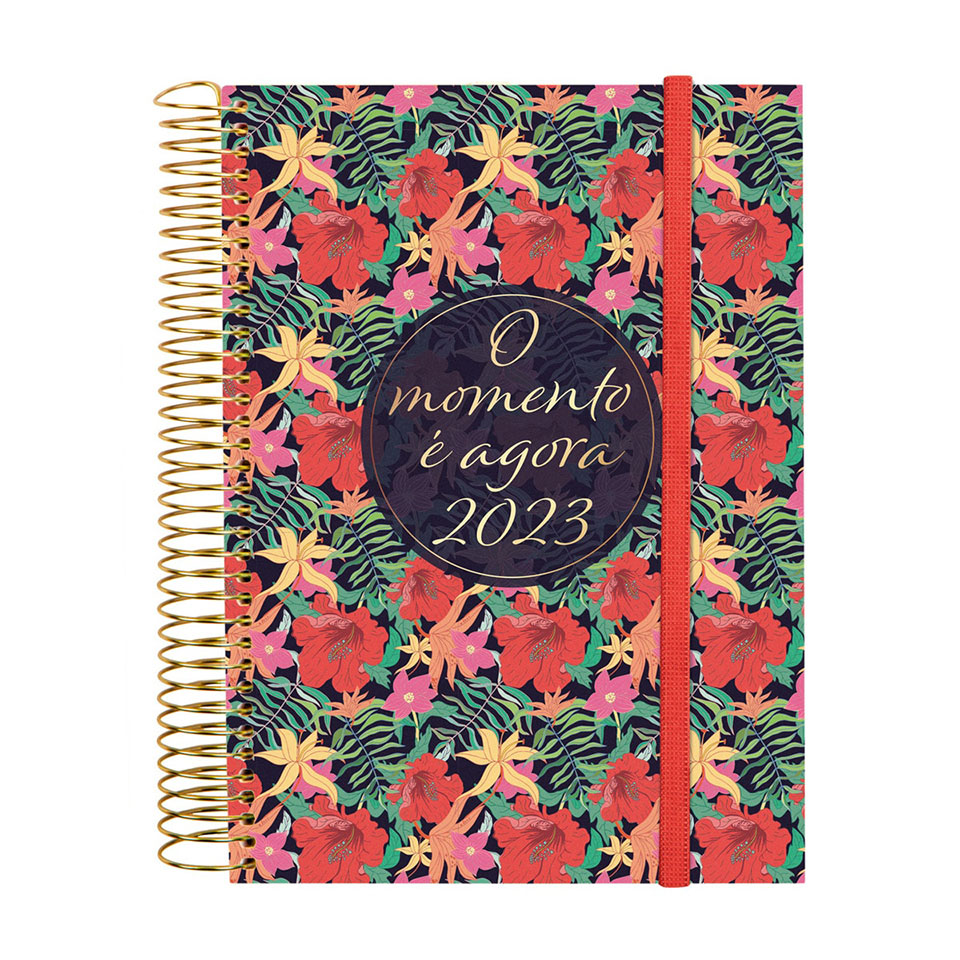 Agenda Momento 12 meses