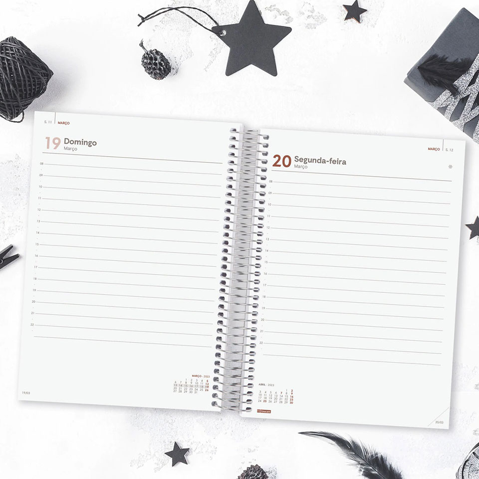 Agenda Moon 12 meses