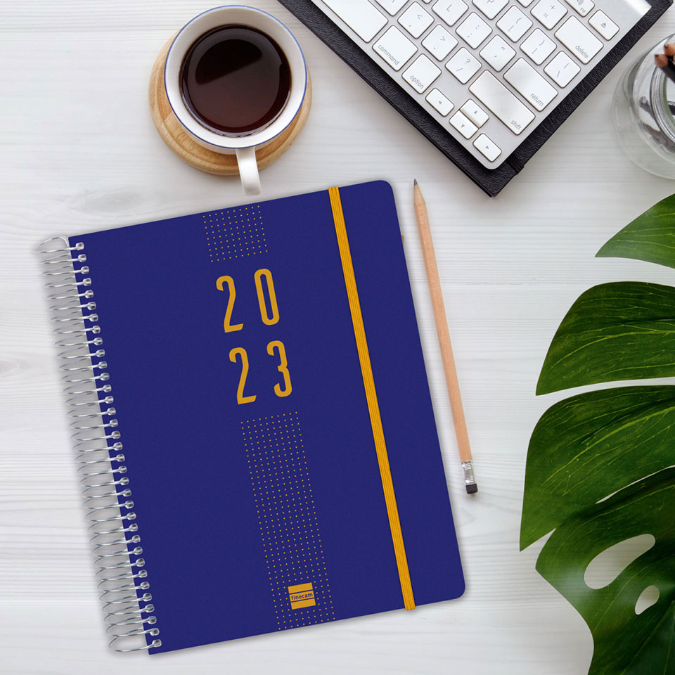 Agenda Link Pontilhado Azul 12 meses