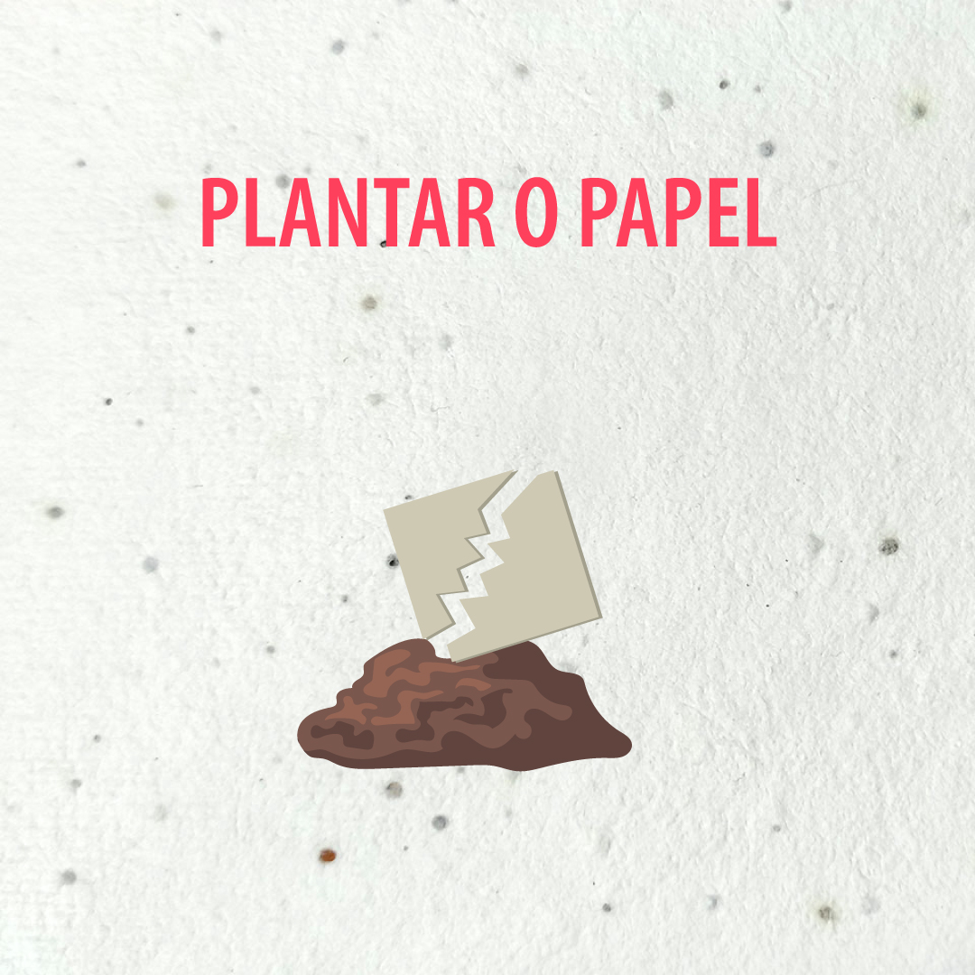 Papel de Sementes 200g