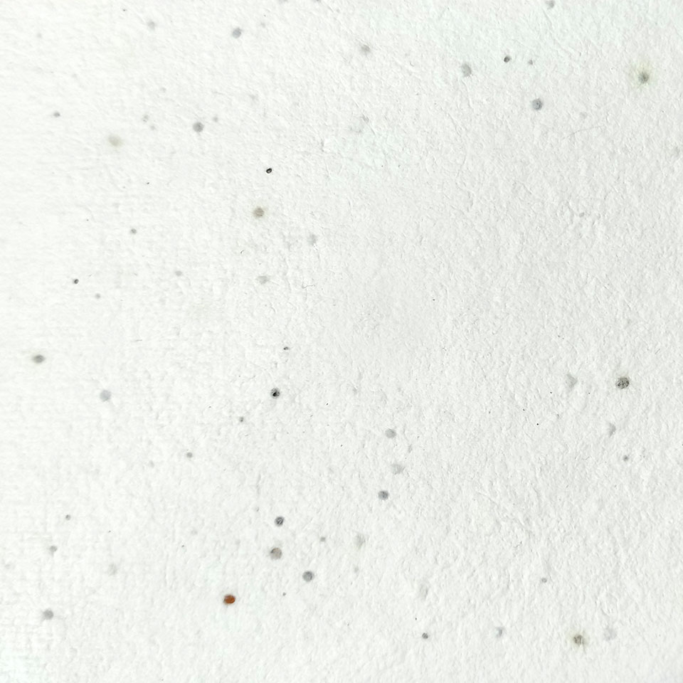 Papel de Sementes 200g
