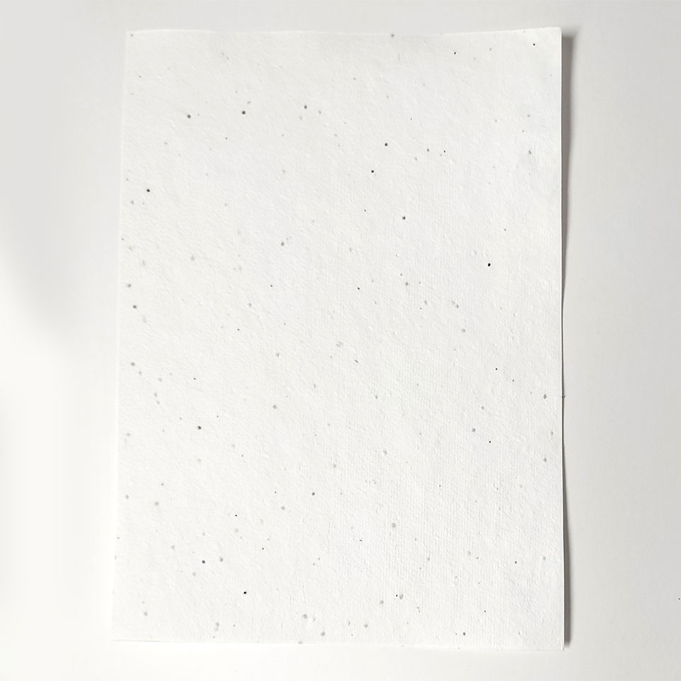 Papel de Sementes 200g